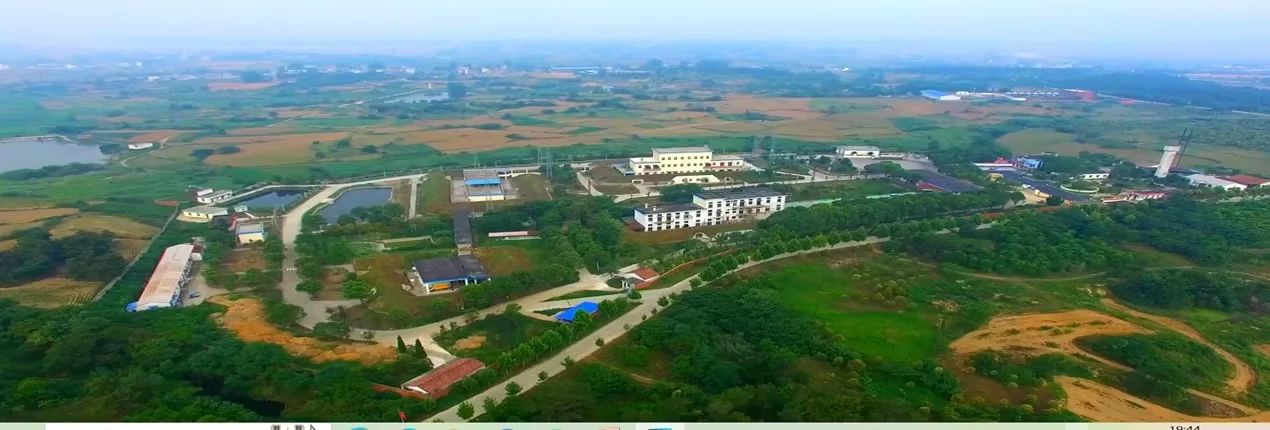 /uploads/image/2023/09/11/13c3327f3eac5b0f945dcaa6282a8d75.jpg 3.jpg